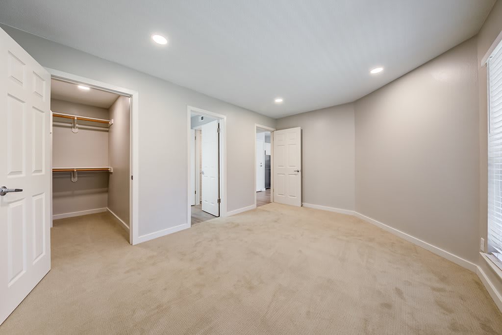 Spacious empty bedroom with carpet flooring and a walk-in closet.