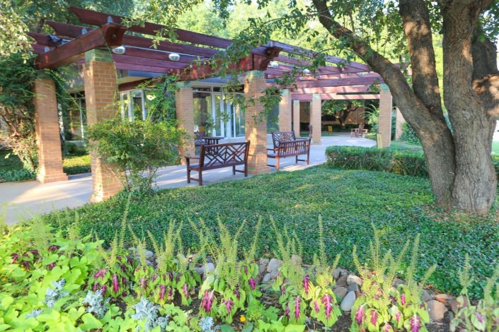 A tranquil garden setting with a pergola and benches surrounded by lush greenery.