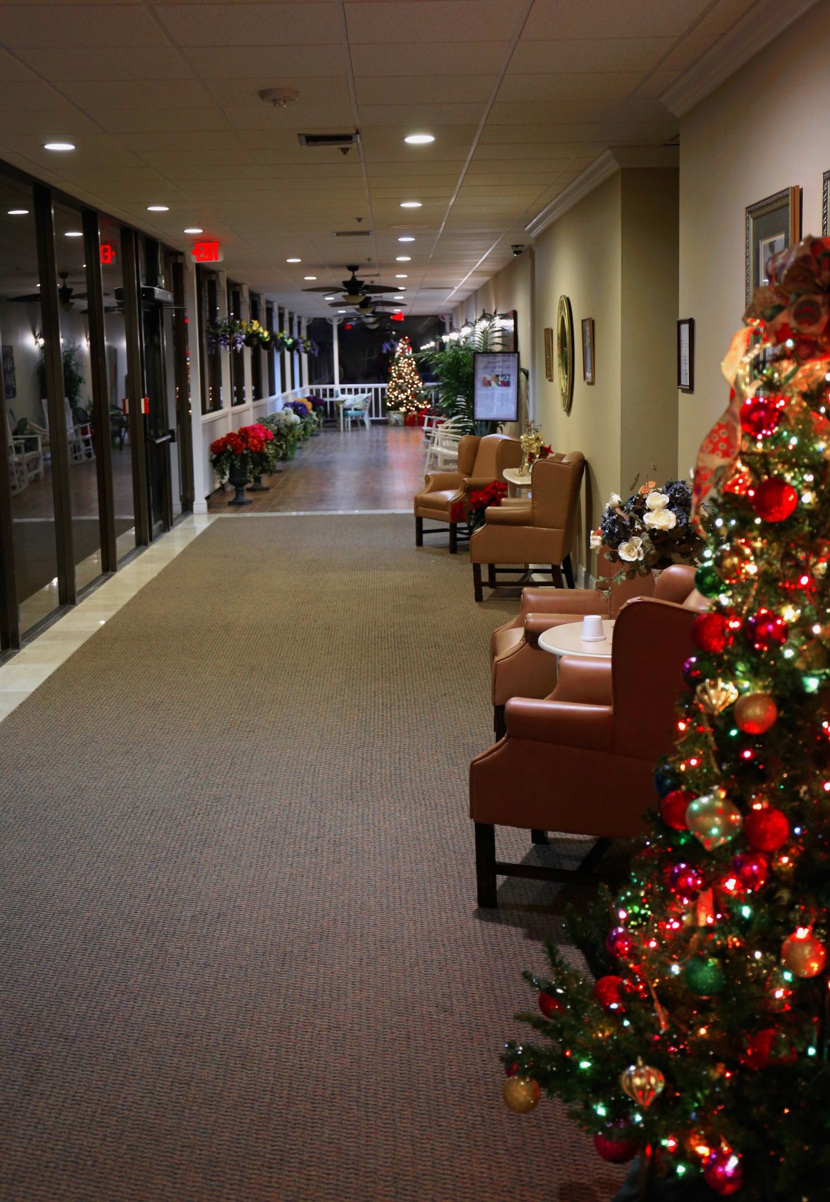 A hallway decorated for the holiday season with a brightly lit Christmas tree and festive decorations.