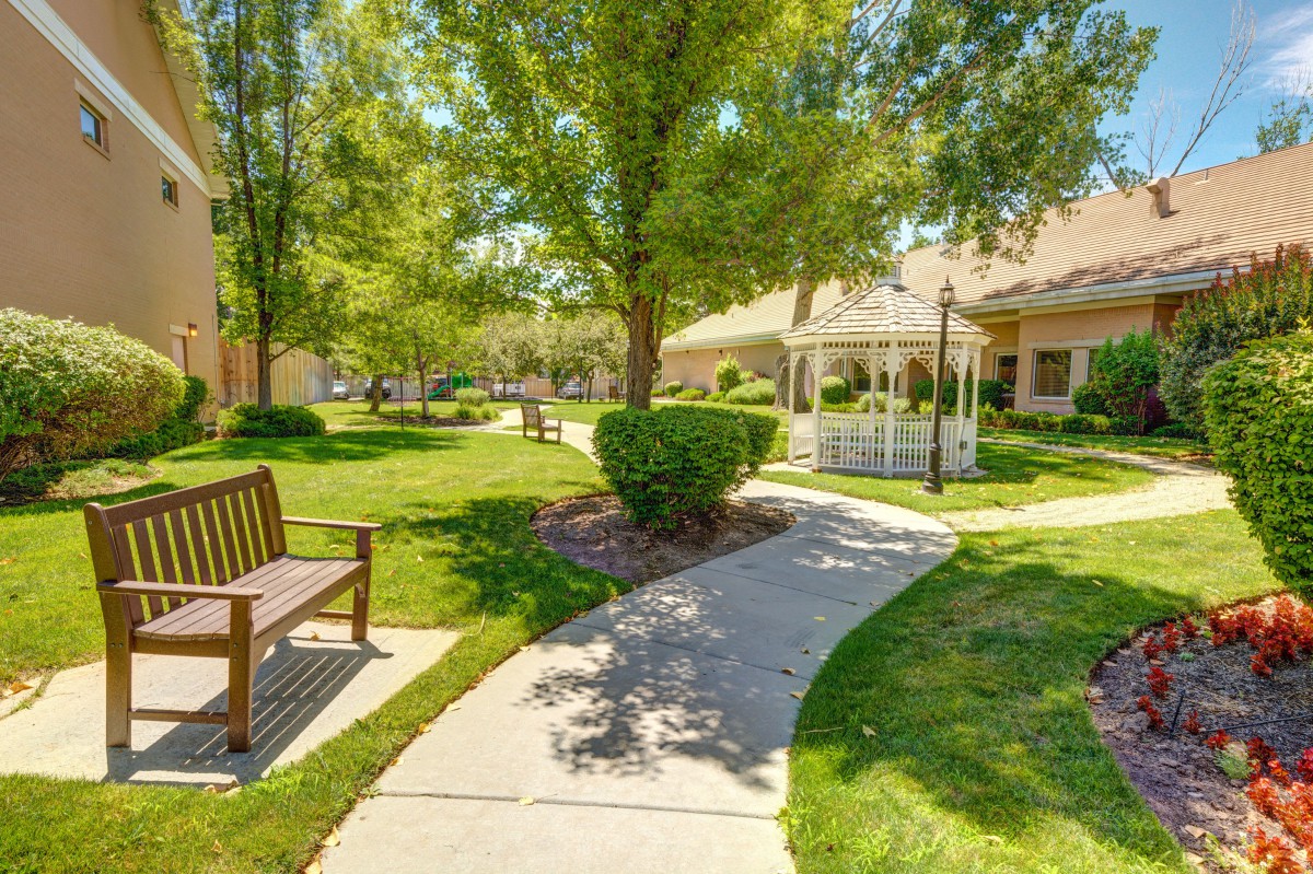 A tranquil park scene with a pathway leading to a gazebo, surrounded by lush greenery and trees.