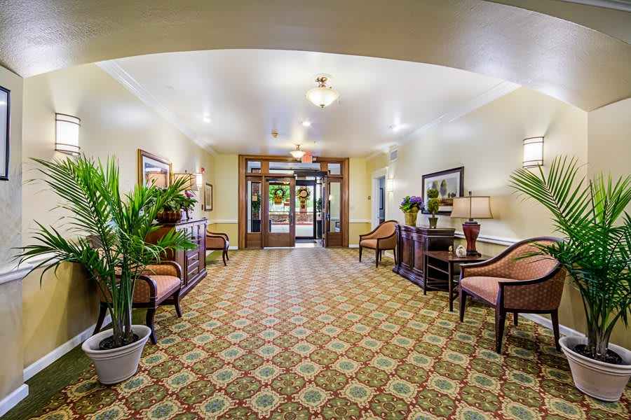 A well-decorated lobby with seating, plants, and a patterned carpet.