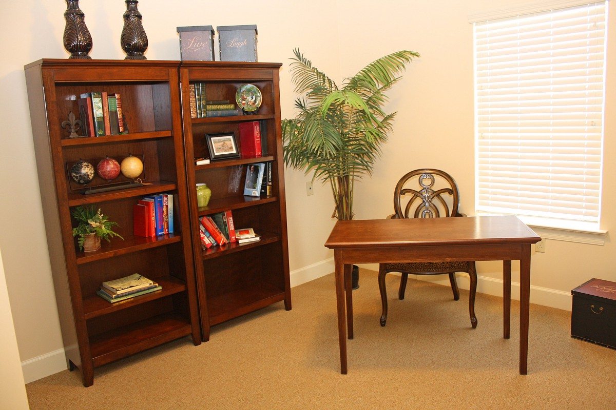A tidy office space featuring a bookshelf, desk, chair, and decorative plant.