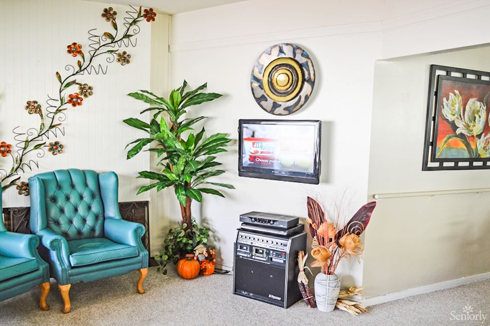 A cozy living room corner featuring a teal armchair, a large potted plant, a guitar amplifier, and fall-themed decorations.