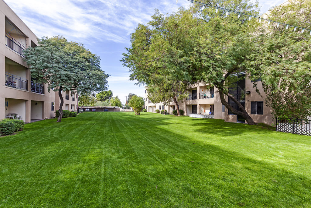 A well-maintained lawn surrounded by apartment buildings and trees on a clear day.