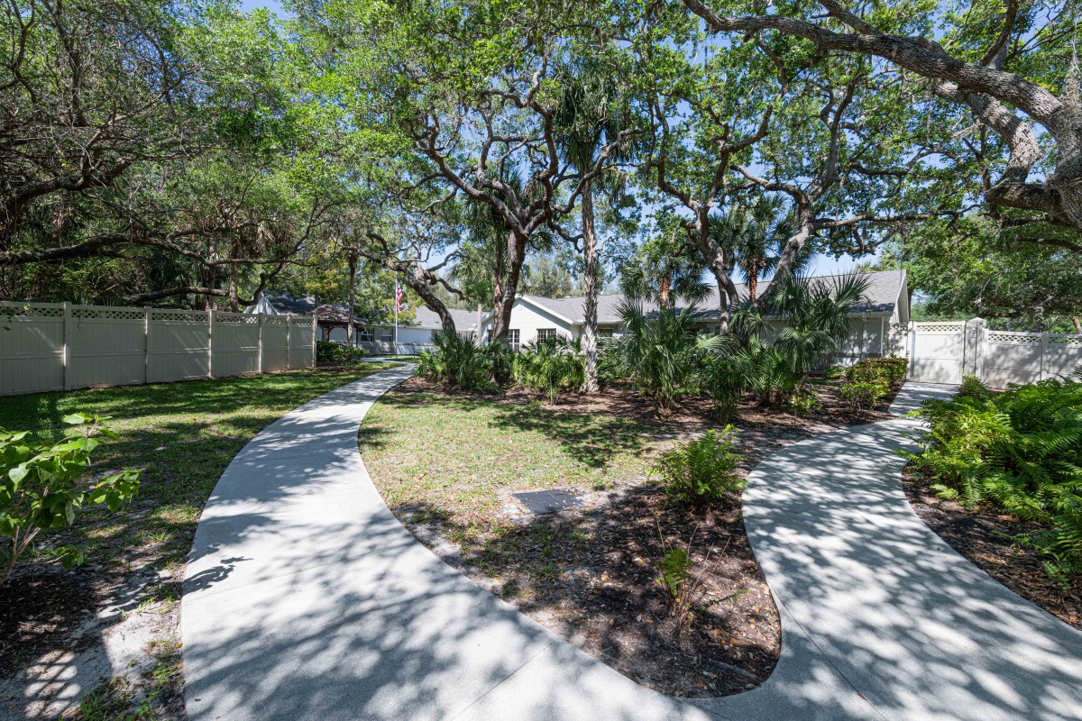 A sunny garden with a winding concrete pathway and lush trees.
