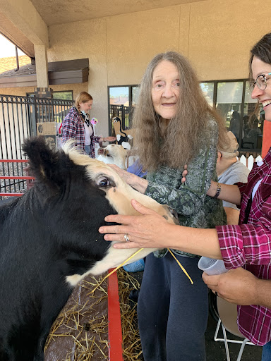 A joyful moment as people interact with a friendly cow on a farm.