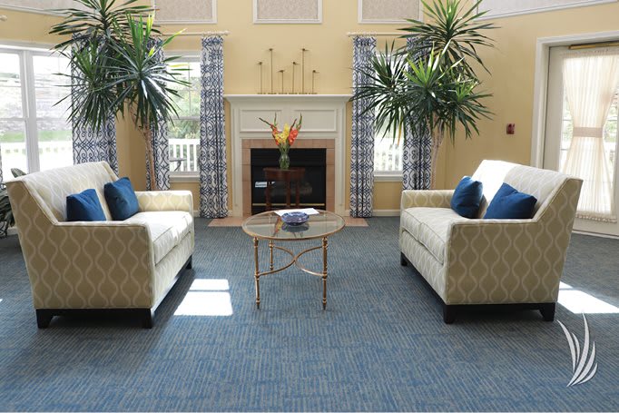 A cozy living room featuring two sofas, a fireplace, and lush indoor plants.