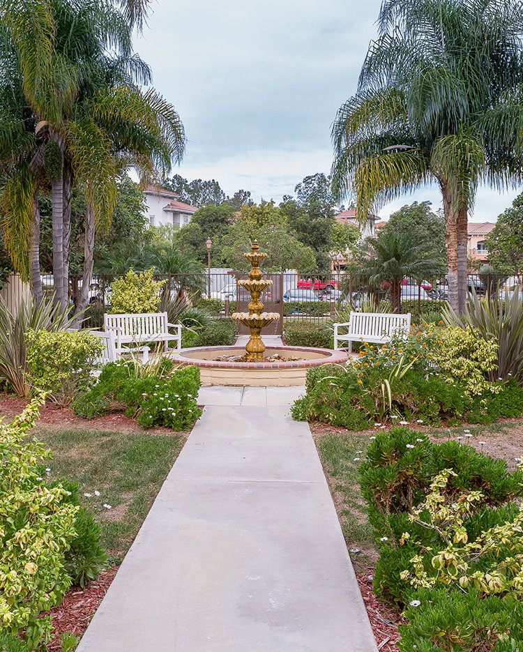 A serene garden with a central fountain, surrounded by lush greenery and benches along the pathway.
