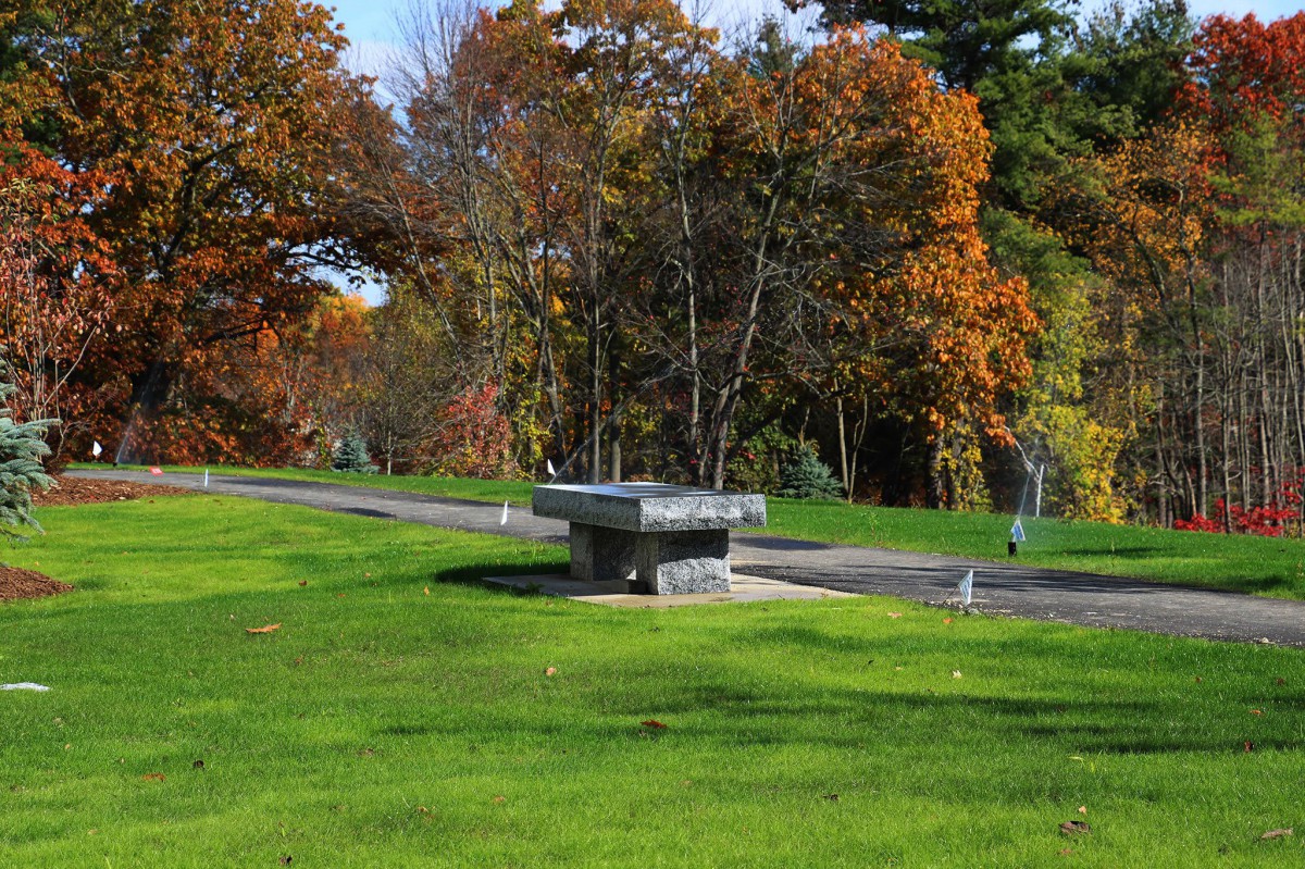 A scenic view of a park during autumn with vibrant fall foliage and lush green grass.