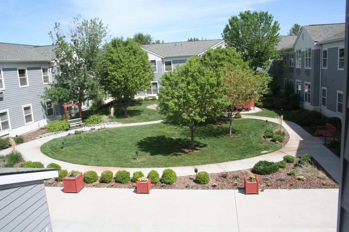 A landscaped garden with trees, a walkway, and neatly arranged bushes.