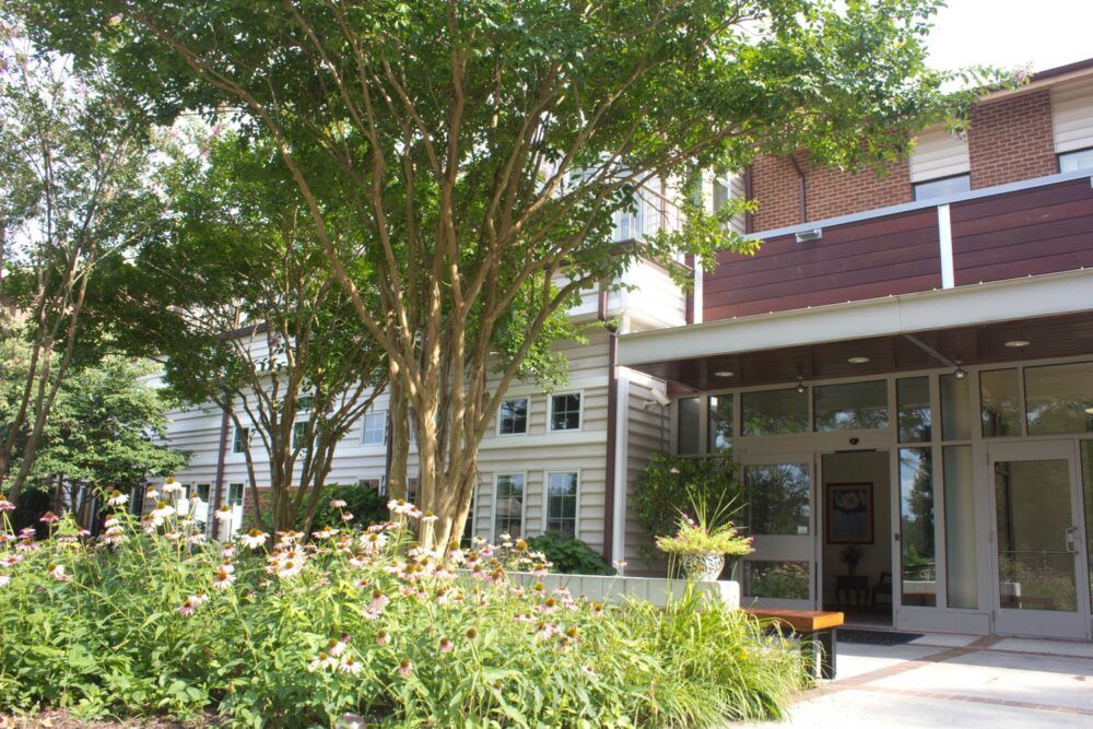 A modern building entrance surrounded by lush greenery and vibrant landscaping.