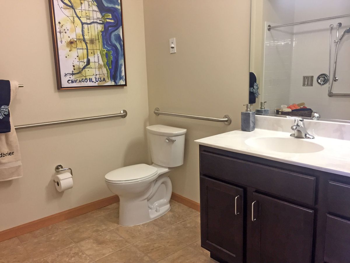 A bathroom featuring a toilet, sink with mirror, handrails, and wall art.