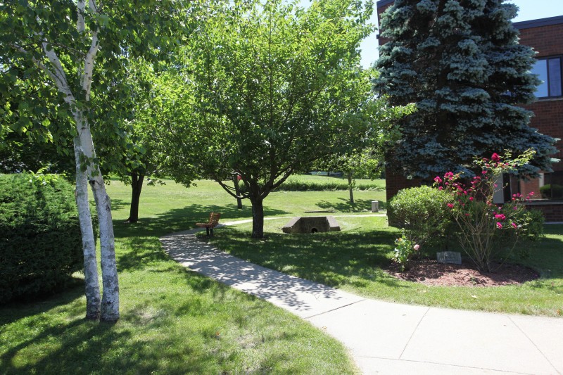 A scenic garden with a paved pathway, surrounded by lush greenery and trees, and featuring a few benches for seating.