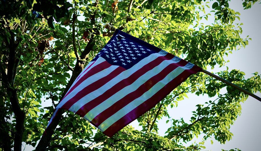 An American flag fluttering among the trees on a sunny day.