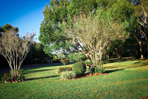 A serene garden landscape featuring lush trees and manicured shrubs.