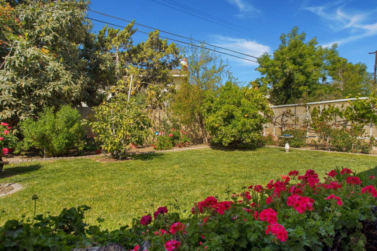 A lush garden with vibrant red flowers and green trees under a clear blue sky.
