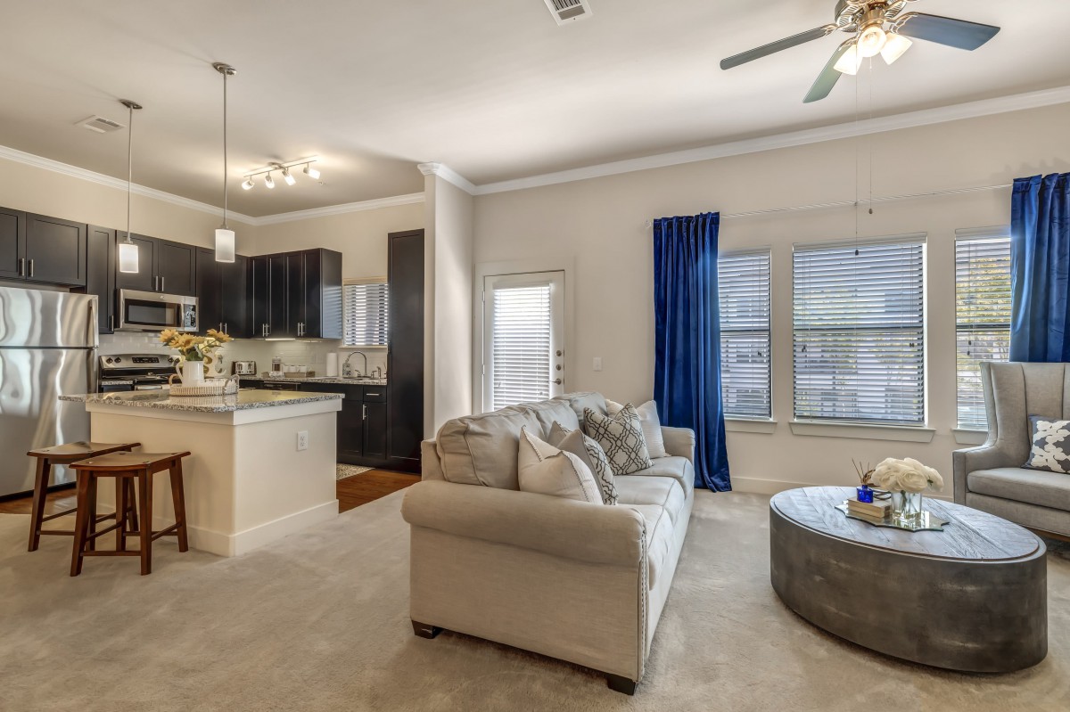 A modern, open-concept living room and kitchen with a cozy sofa and stylish decor.