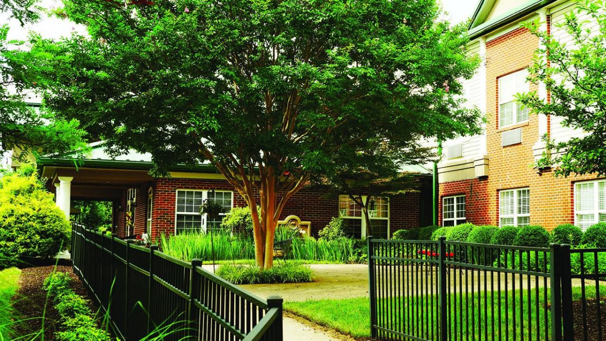 A tree stands in a garden surrounded by a black fence and adjacent to a brick building.