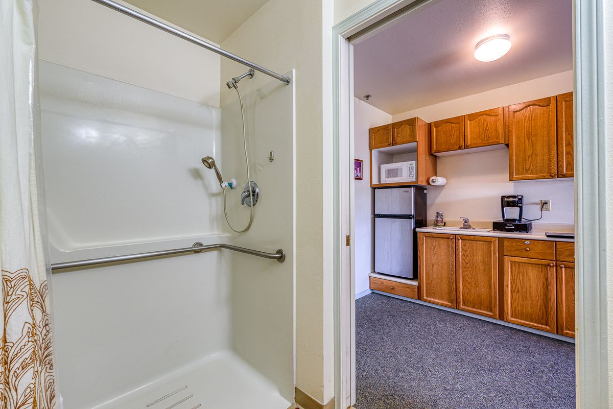 View of a small apartment featuring a bathroom with a shower and a kitchenette with appliances.