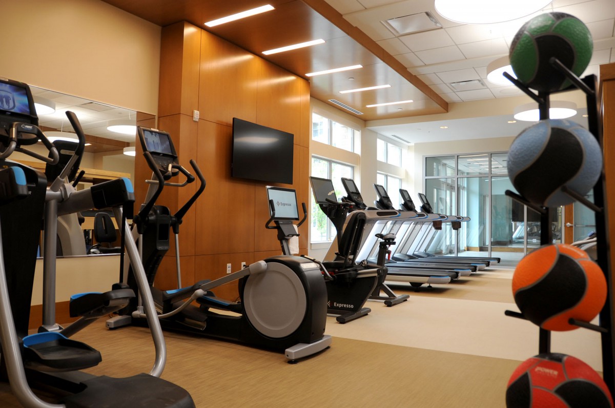 A modern gym with treadmills and elliptical machines lined up.