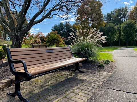A serene park bench surrounded by lush greenery and a clear blue sky.