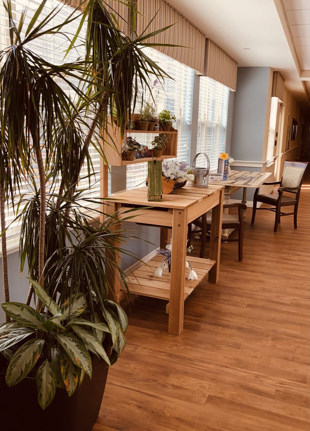 A cozy hallway with wooden furniture and green plants bathed in sunlight.