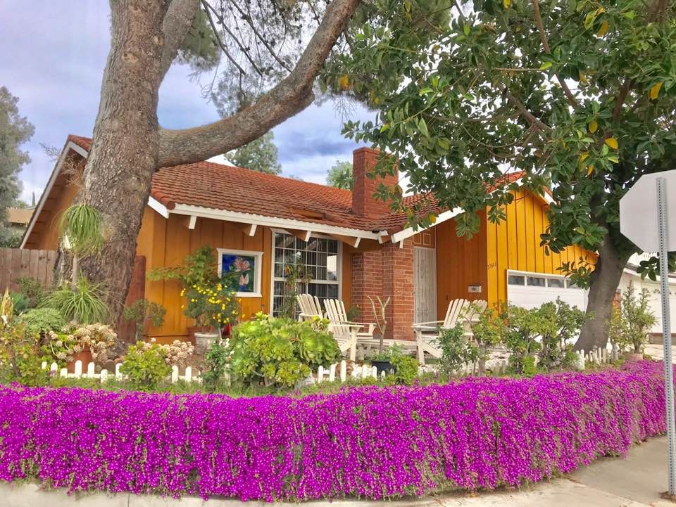 A charming suburban house with a vibrant garden and blooming flowers.