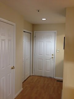 A tidy hallway with two closed doors and overhead lighting.