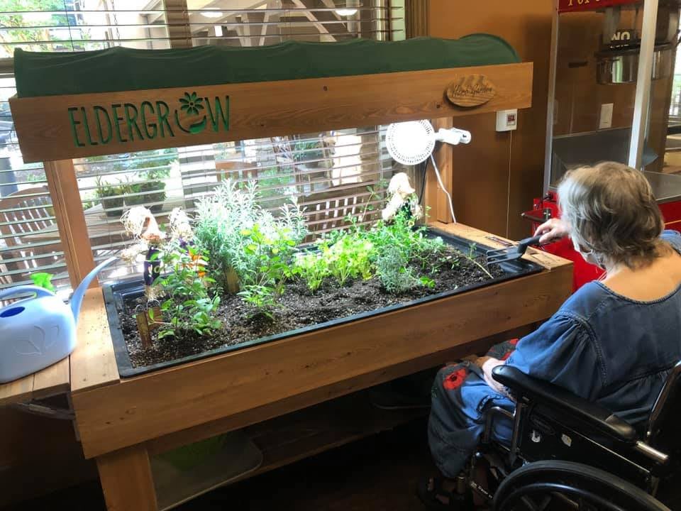 A person in a wheelchair tends to an indoor garden with plants under specialized lighting.
