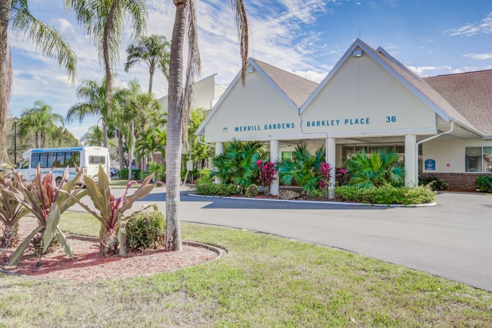A sunny view of a tropical-themed building surrounded by palm trees and lush landscaping.