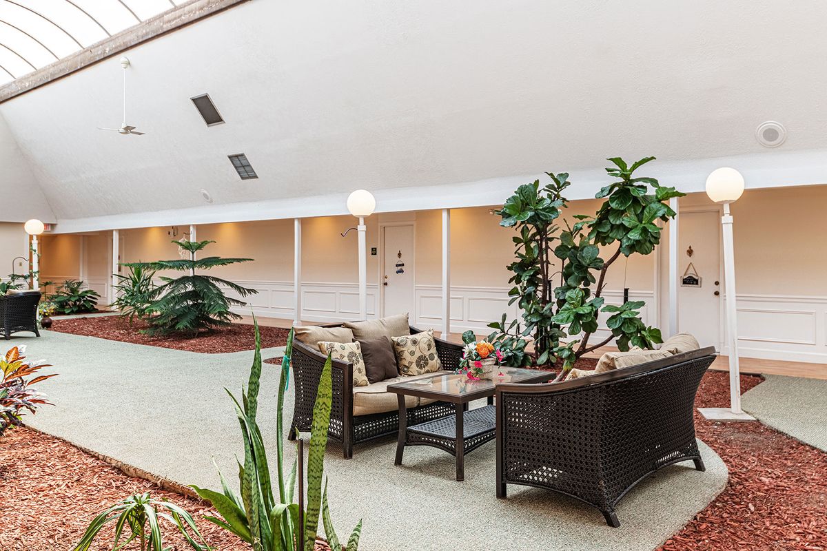 A cozy indoor lounge area with comfortable seating and decorative plants.