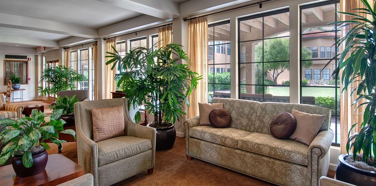 A cozy living room with a sofa, armchair, and large windows adorned with curtains and a potted plant.
