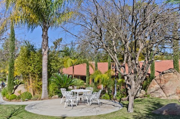 A tranquil garden setting with a patio area featuring outdoor furniture surrounded by lush trees and greenery.