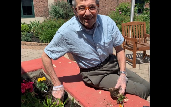 An elderly person enjoys gardening on a sunny day.
