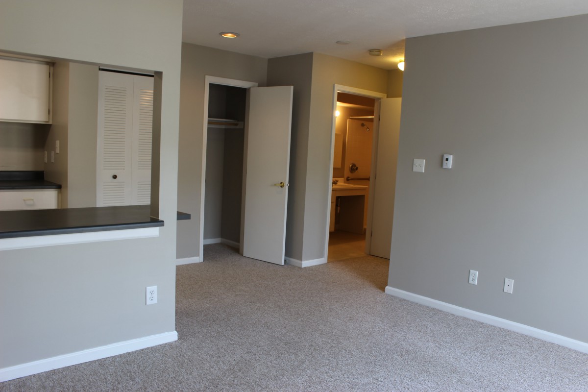 An empty apartment room with a carpeted floor and neutral-colored walls, featuring a closet and open doorway.