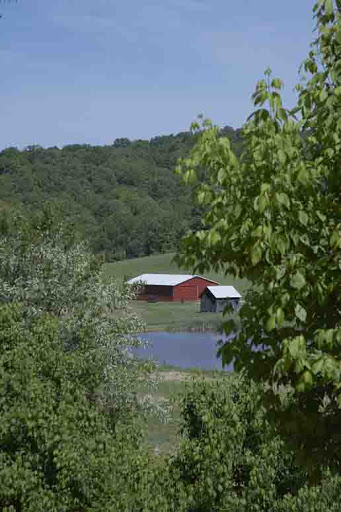 A serene rural landscape featuring a red barn and a calm pond surrounded by lush greenery.
