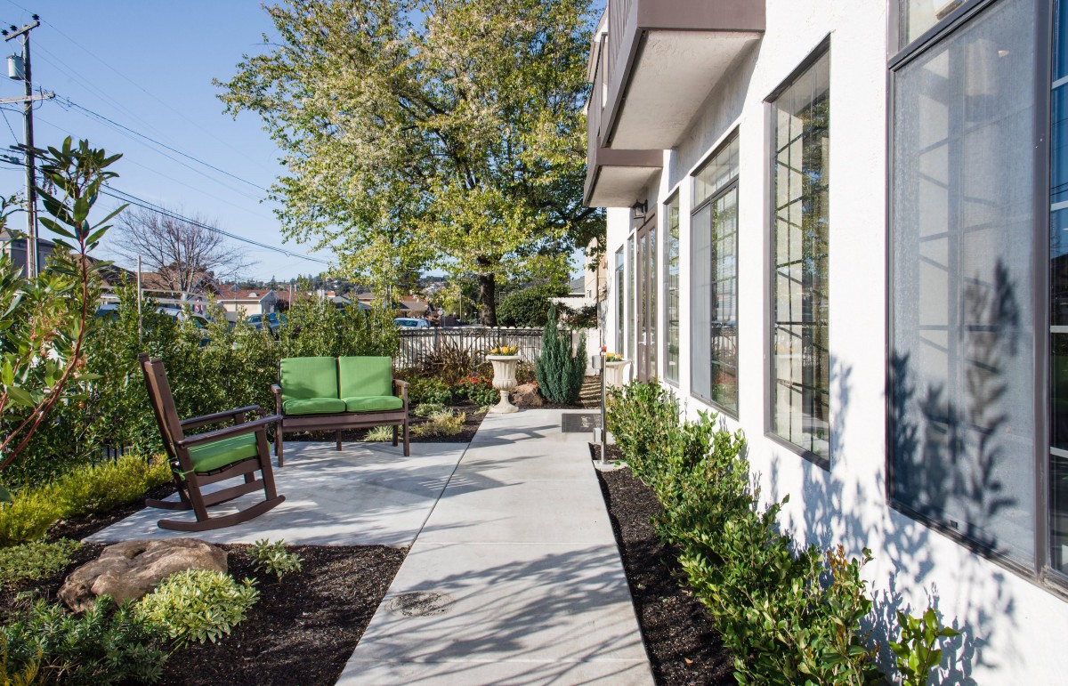 A modern patio area with a walkway, benches, and landscaping featuring various plants and trees.