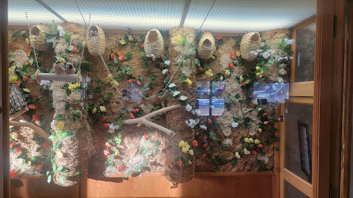 Avamere Transitional Care And Rehab – Brighton
