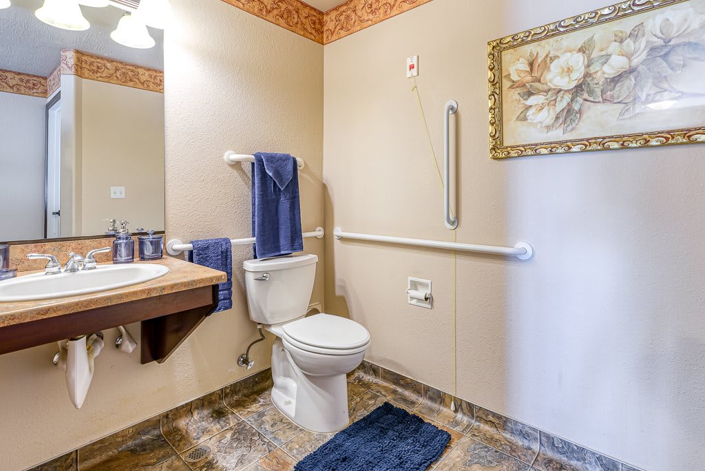 A well-equipped bathroom featuring accessibility grab bars and tasteful decor.