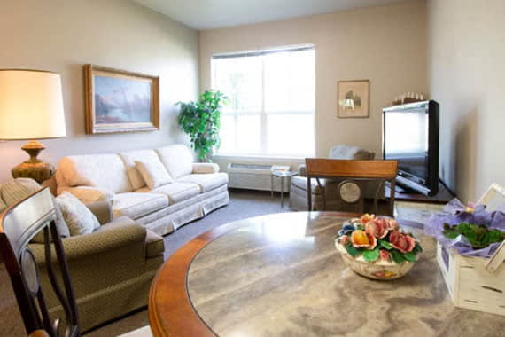 A cozy living room with a sofa, coffee table, and TV, featuring a large window and decorative elements.