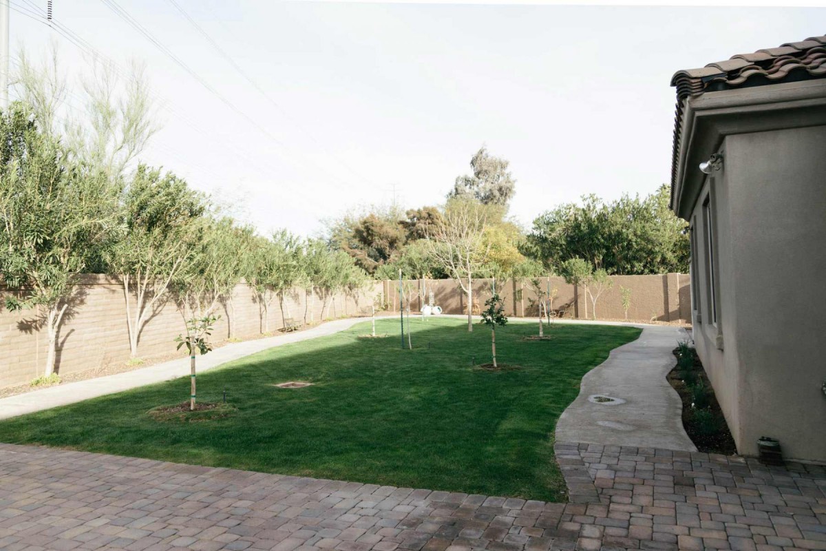 A spacious backyard featuring a well-maintained lawn with several young trees, surrounded by a wooden fence and accompanied by a paved pathway.