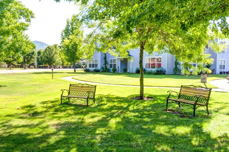 A sunny park area with benches, trees, and a building in the background.