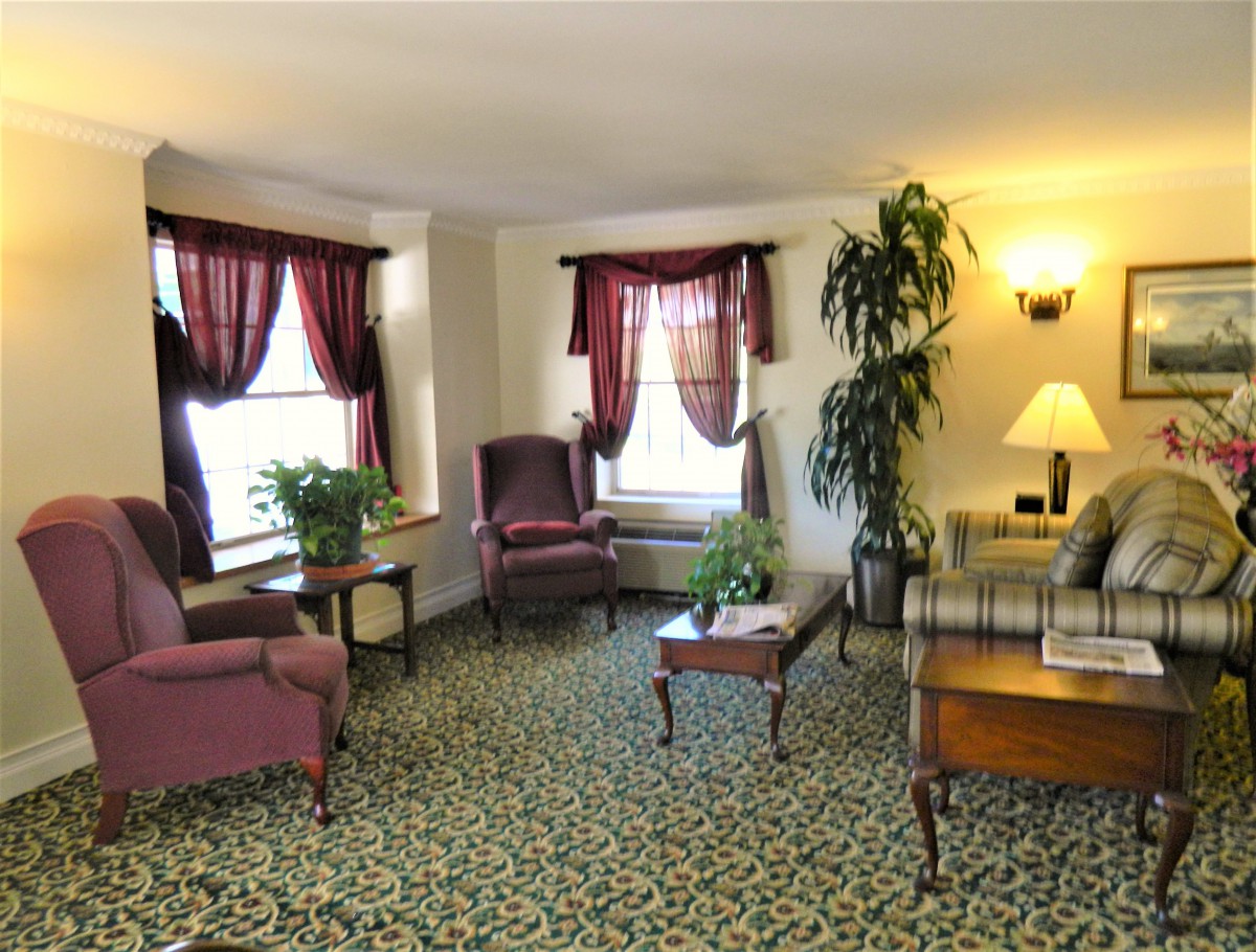 A cozy living room with classic furniture and decorative plants.