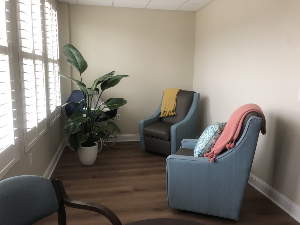 A cozy room with two chairs, a plant, and blankets near a window.