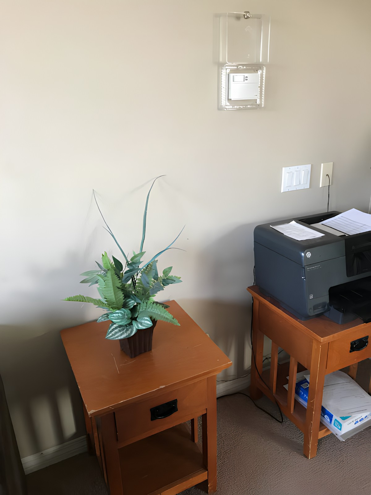 An office corner with a printer and a potted plant on wooden tables.