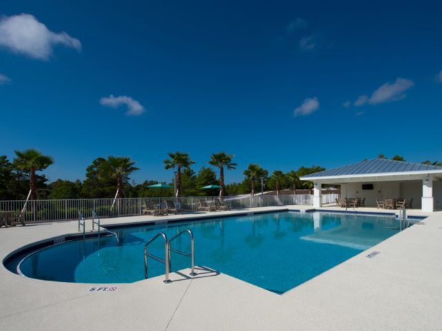 A serene outdoor swimming pool under a clear blue sky, surrounded by palm trees.