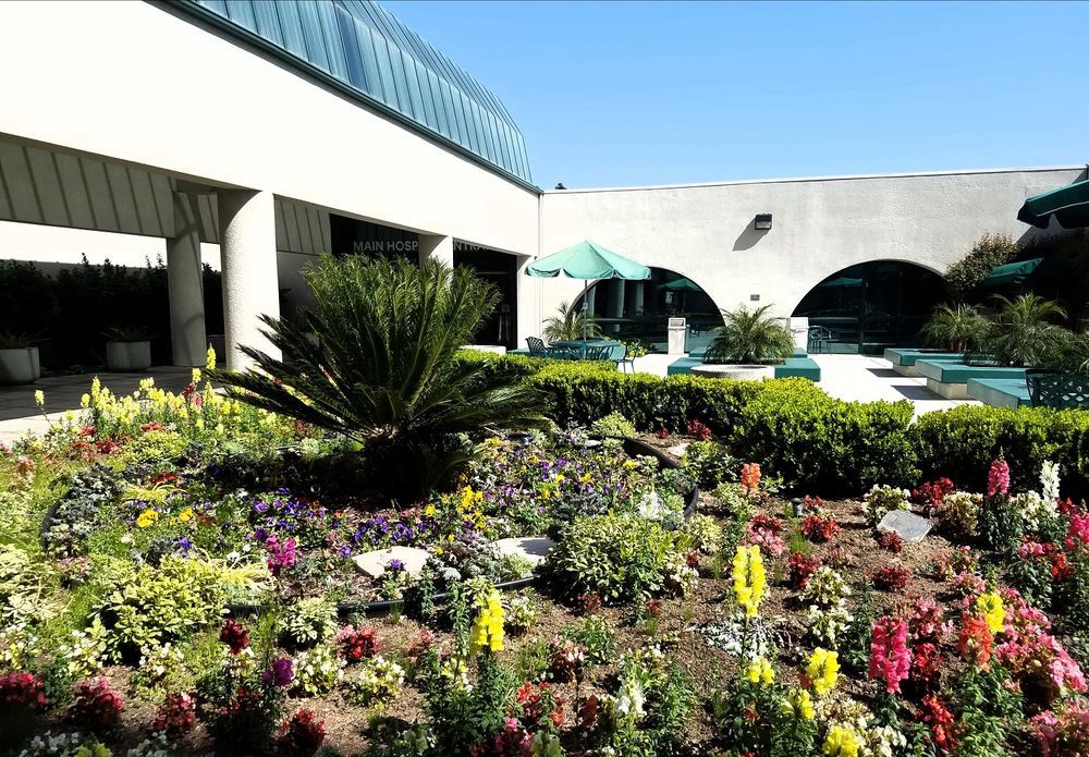 A beautiful courtyard garden with a variety of colorful flowers and lush greenery surrounded by modern architecture under a clear blue sky.