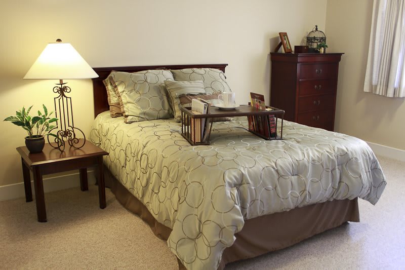 A cozy bedroom with a neatly made bed featuring decorative pillows and a bedside lamp.