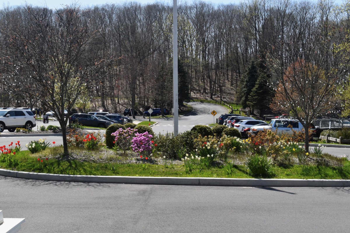 A landscaped area with colorful flowers in front of a parking lot and trees.