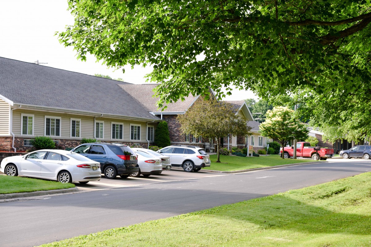 A suburban residential area with parked cars and lush greenery.
